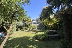 Peacock Lane
